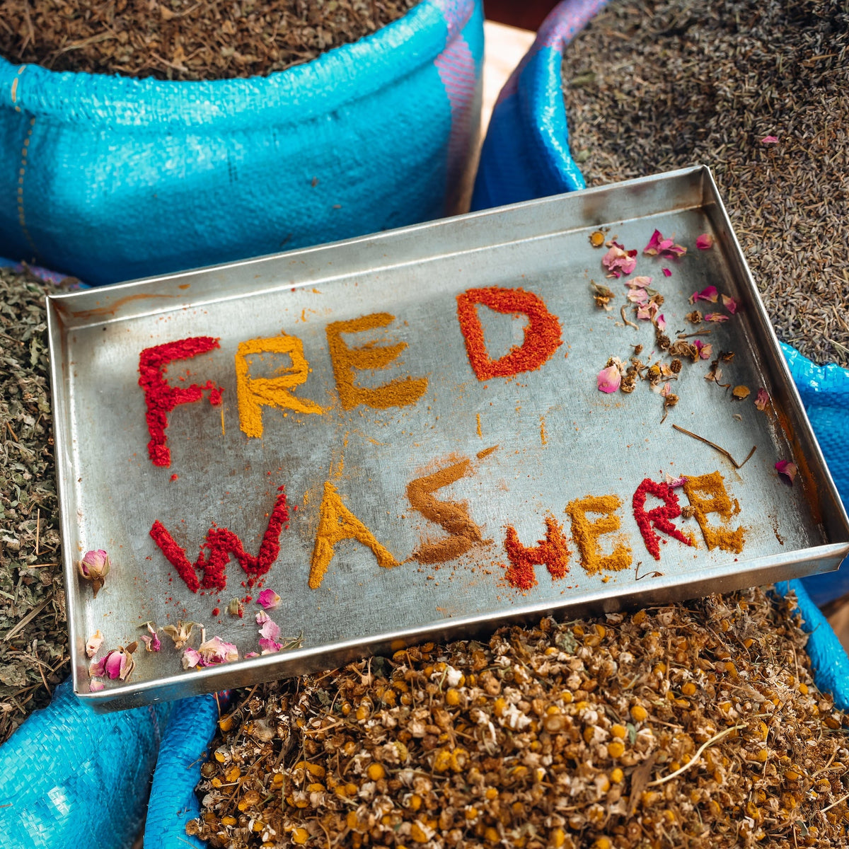 A FISH NAMED FRED